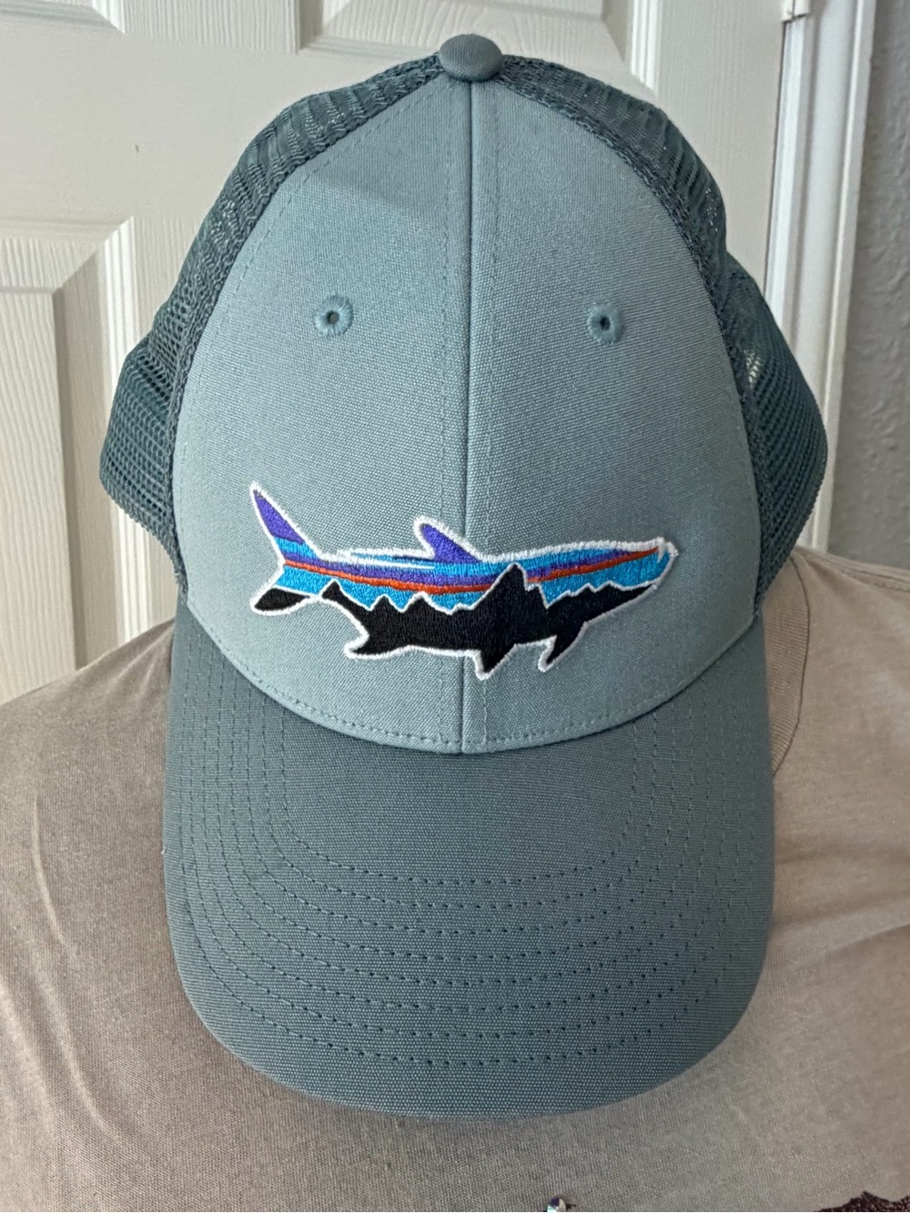 PATAGONIA Mens Teal Shark mesh truckers hat